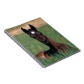 Arabische Fohlen-Niederlegung Notizblock (Rechte Seite)