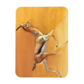 Arabische Gazelle 2010 Magnet (Vertikal)