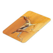 Arabische Gazelle 2010 Magnet (Linke Seite)