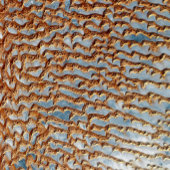 Arabische Halbinsel - Die Rub'Al Khali Poster