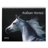 Arabische Pferde Kalender (Titelbild)