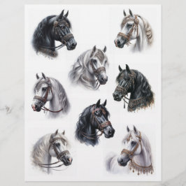 Arabische Pferde mit schönen Bridles