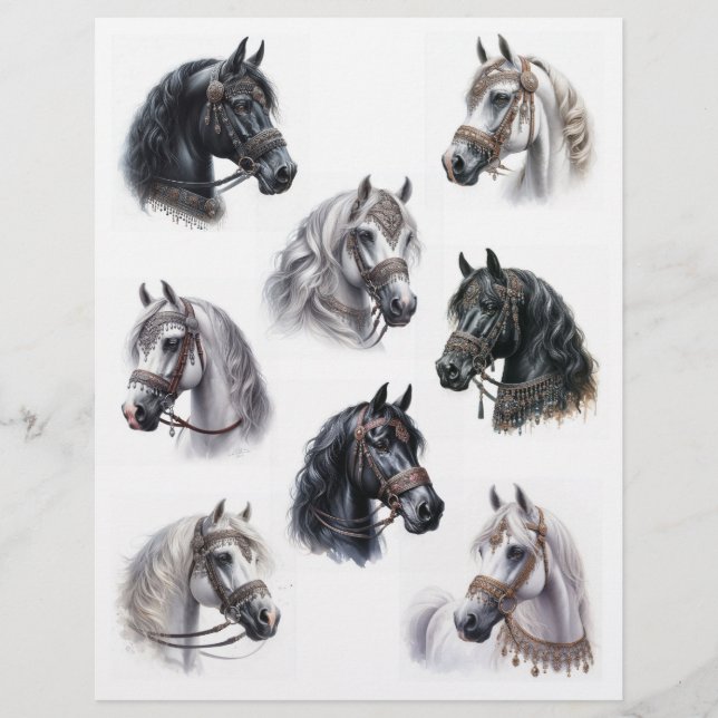 Arabische Pferde mit schönen Bridles (Vorderseite)