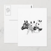 Arabische Pferde Postkarte (Vorne/Hinten)