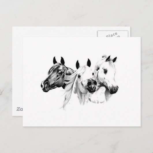 Arabische Pferde Postkarte (Vorne/Hinten)