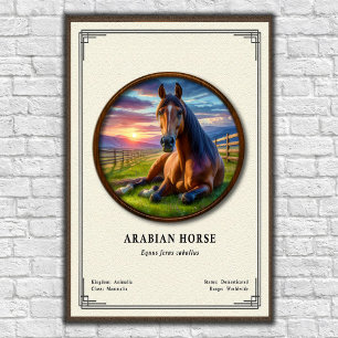 Arabische Pferde-Zoologie-Serie Poster