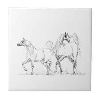 Arabische PferdeKeramik-Fliese - arabische Pferde Fliese