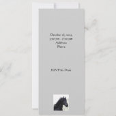 Arabische PferdeParty Einladung (Rückseite)