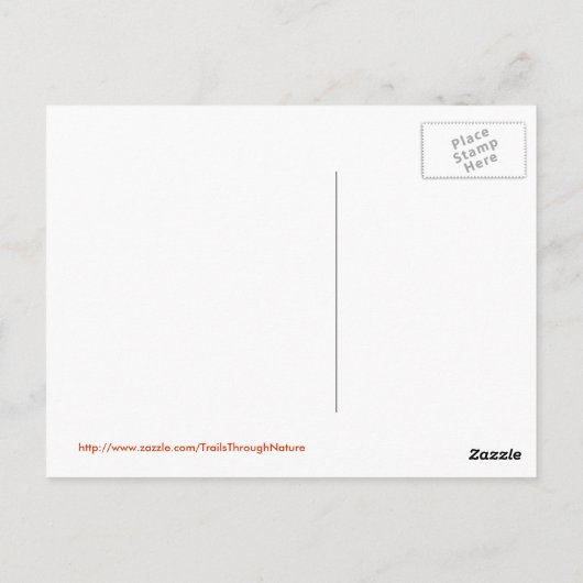 Arabische Pferderegel Postkarte (Rückseite)