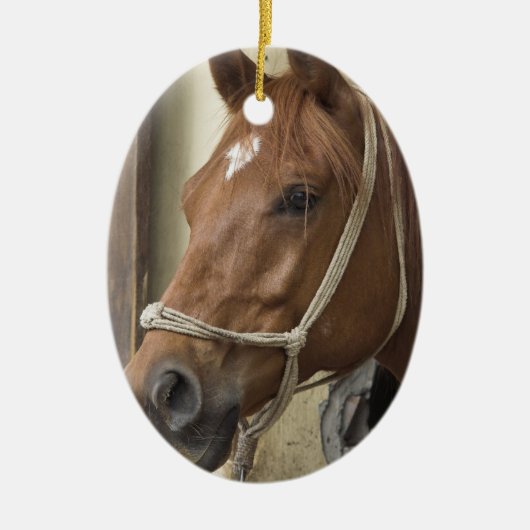 Arabische Pferdeverzierung Keramik Ornament (Vorne)