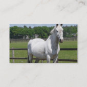 Arabische PferdeVisitenkarte Visitenkarte (Rückseite)