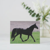 arabische Profile Postkarten (Stehend Vorderseite)