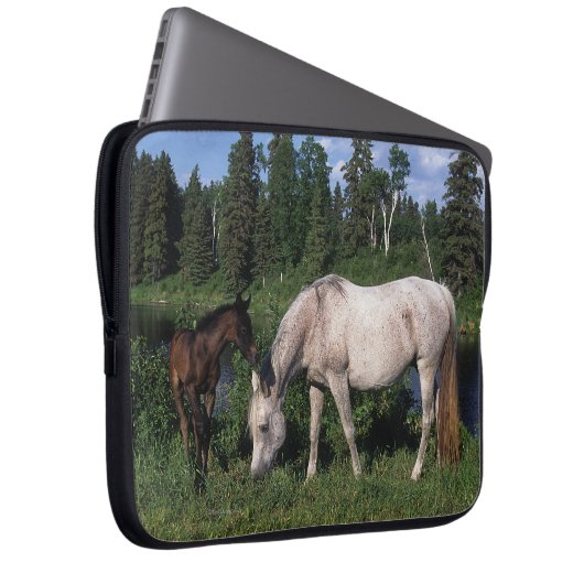 Arabische Stute u. Fohlen 2 Laptopschutzhülle (Vorne Rechts)