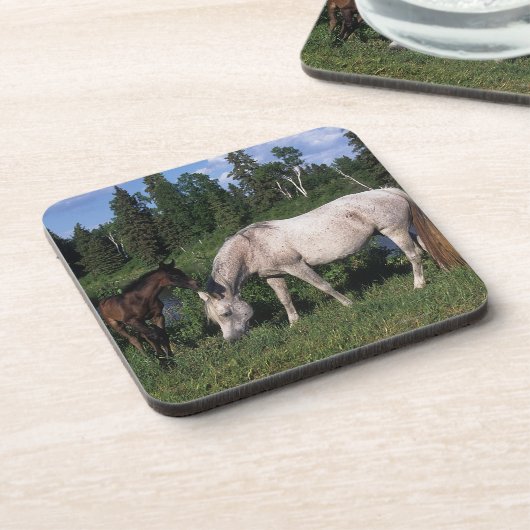 Arabische Stute u. Fohlen 2 Untersetzer (Linke Seite)