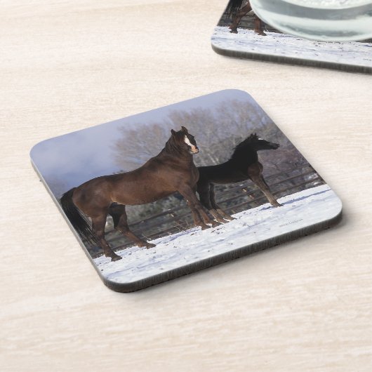 Arabische Stute u. Fohlen im Schnee Getränkeuntersetzer (Linke Seite)