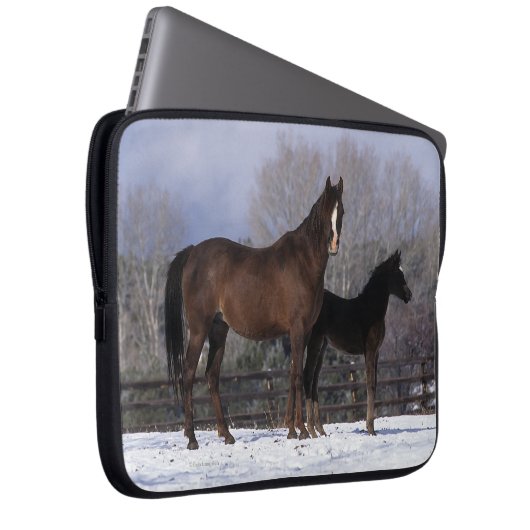 Arabische Stute u. Fohlen im Schnee Laptopschutzhülle (Vorne Rechts)