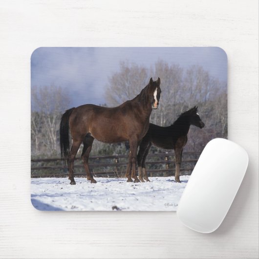Arabische Stute u. Fohlen im Schnee Mousepad (Mit Mouse)