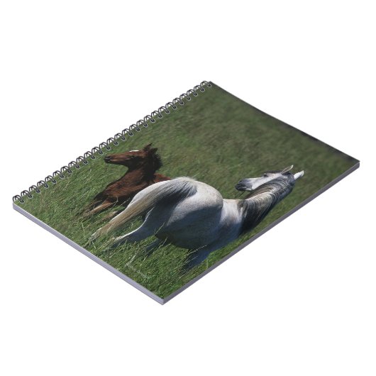 Arabische Stute u. Fohlen Notizblock (Linke Seite)