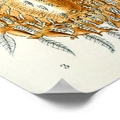 Arabische wissenschaftliche Illustration Poster (Ecke)