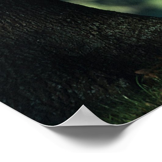 Arabischer Foal in den Bäumen Poster (Ecke)