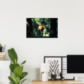 Arabischer Foal in den Bäumen Poster (Heimbüro)