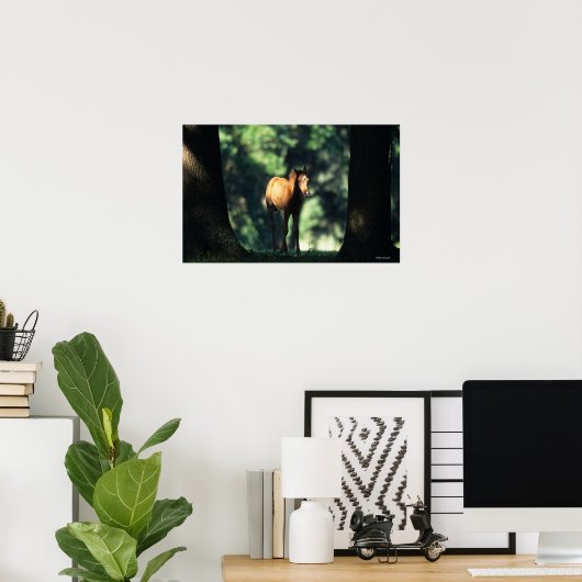 Arabischer Foal in den Bäumen Poster (Heimbüro)