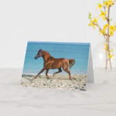 Arabischer Kastanienhengst am Strand Karte (Gelbe Blume)