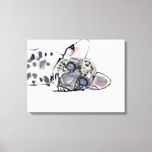 Arabischer Leopard 2008 3 Leinwanddruck