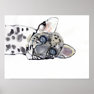 Arabischer Leopard 2008 3 Poster
