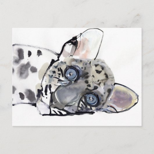 Arabischer Leopard 2008 3 Postkarte (Vorderseite)