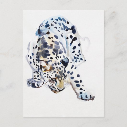 Arabischer Leopard 2008 5 Postkarte (Vorderseite)
