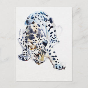 Arabischer Leopard 2008 5 Postkarte