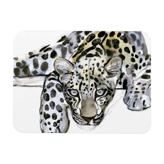 Arabischer Leopard 2008 6 Magnet (Horizontal)