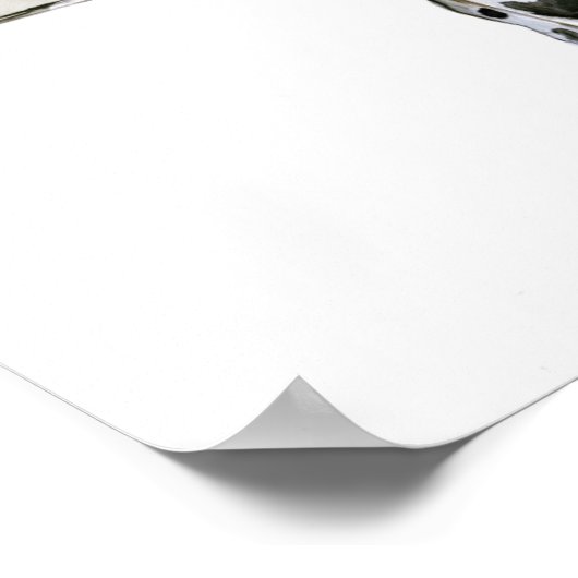 Arabischer Leopard 2008 6 Poster (Ecke)