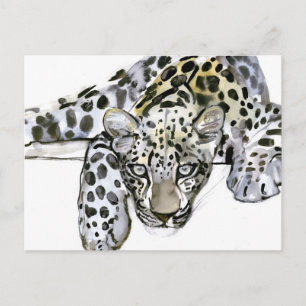 Arabischer Leopard 2008 6 Postkarte