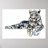 Arabischer Leopard 2008 7 Poster (Vorne)
