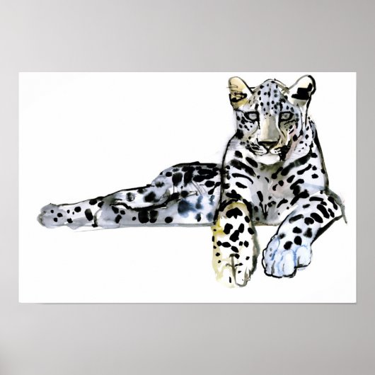 Arabischer Leopard 2008 7 Poster (Vorne)