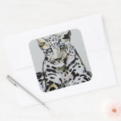 Arabischer Leopard 2008 7 Quadratischer Aufkleber (Umschlag)