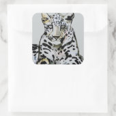 Arabischer Leopard 2008 7 Quadratischer Aufkleber (Tasche)