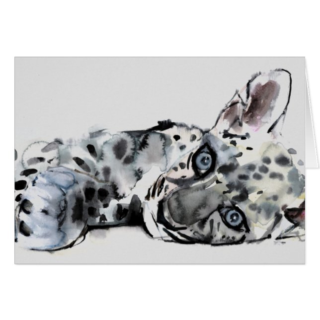 Arabischer Leopard CUB 2008 (Vorderseite (Horizontal))