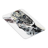 Arabischer Leopard Cub 2008 Magnet (Rechte Seite)