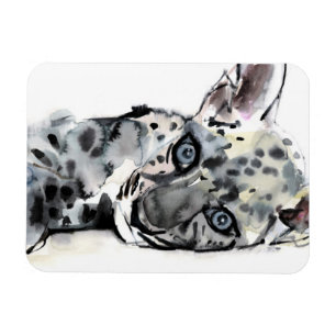 Arabischer Leopard CUB 2008 Magnet
