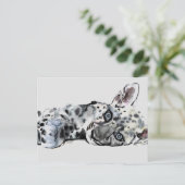 Arabischer Leopard Cub 2008 Postkarte (Stehend Vorderseite)