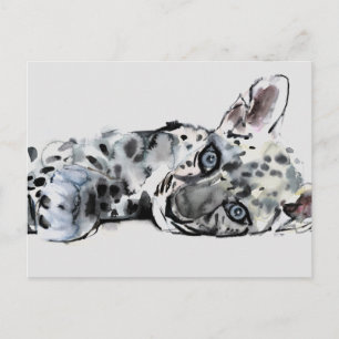 Arabischer Leopard Cub 2008 Postkarte