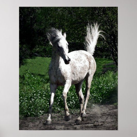 arabischer Mare Poster (Vorne)