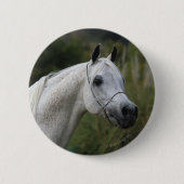Arabischer PferdeHeadshot 1 Button (Vorderseite)