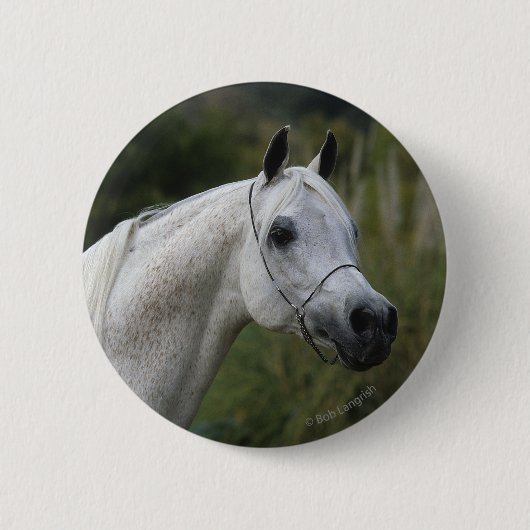 Arabischer PferdeHeadshot 1 Button (Vorderseite)