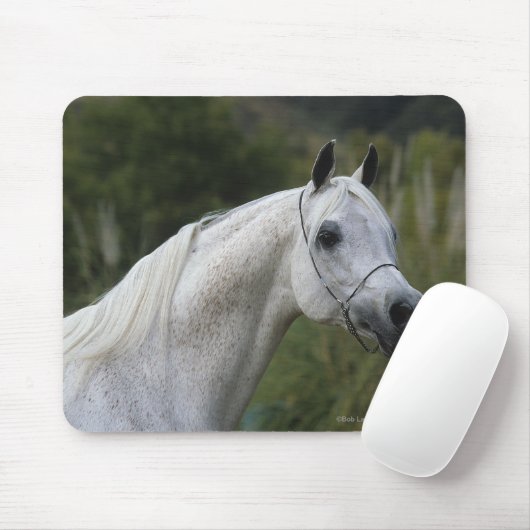 Arabischer PferdeHeadshot 1 Mousepad (Mit Mouse)