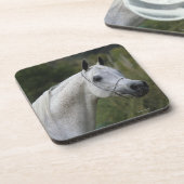 Arabischer PferdeHeadshot 1 Untersetzer (Linke Seite)