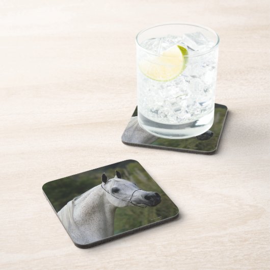 Arabischer PferdeHeadshot 1 Untersetzer (Rechte Seite)